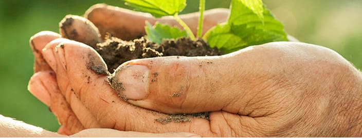 Environmental Health